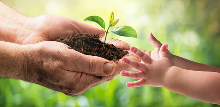 Called to be life giving