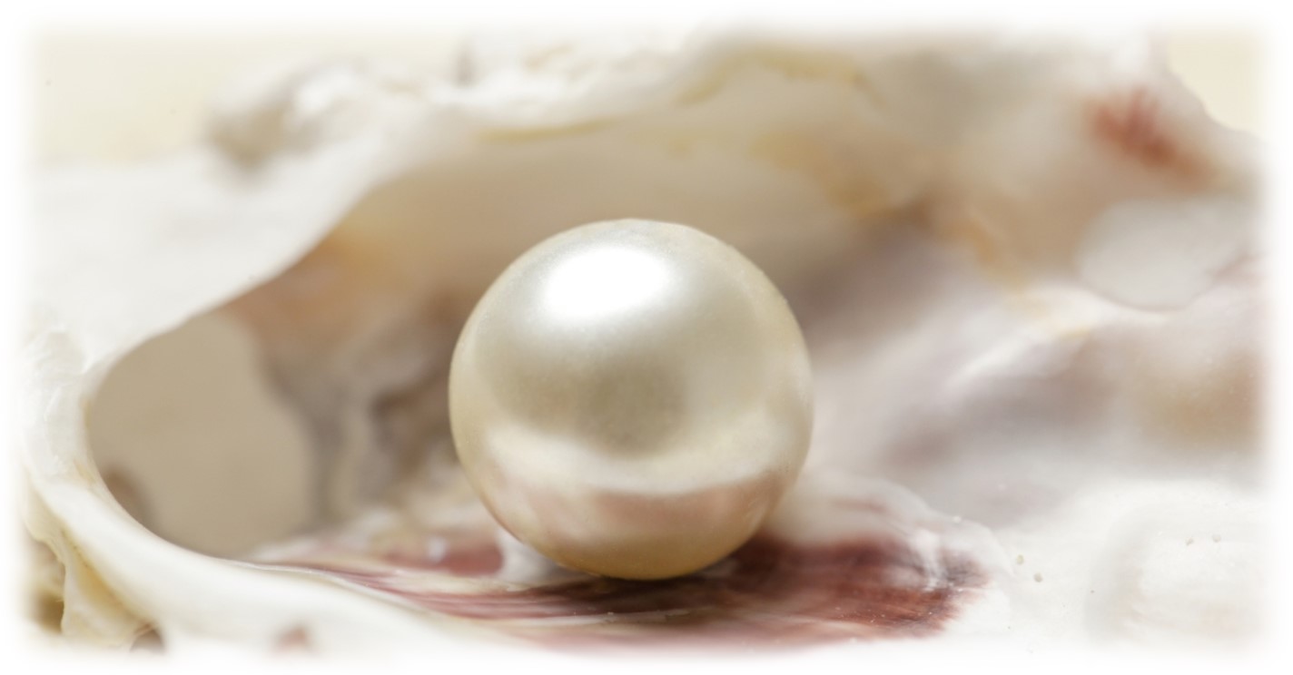 Giving up all for ….