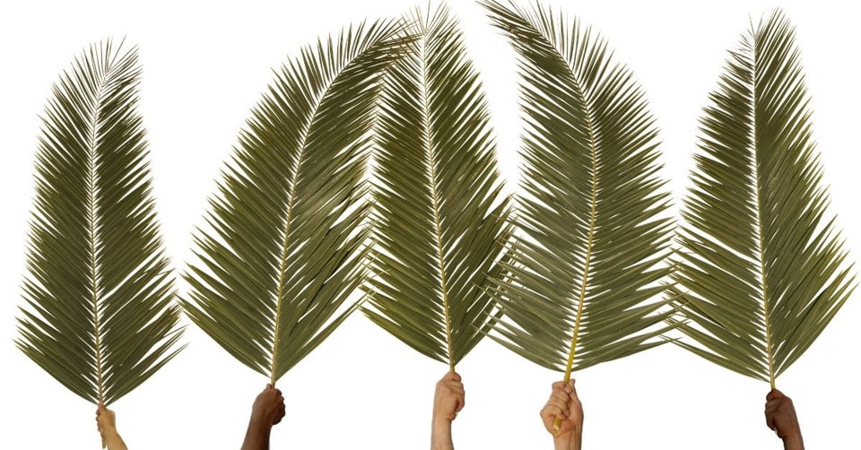 Palm Sunday – not on a war-horse but a mule