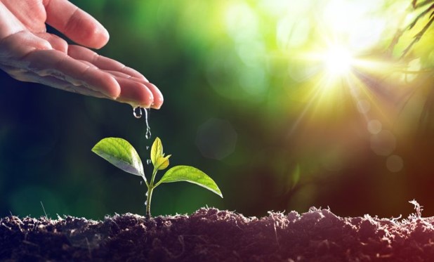 Compassion first and last