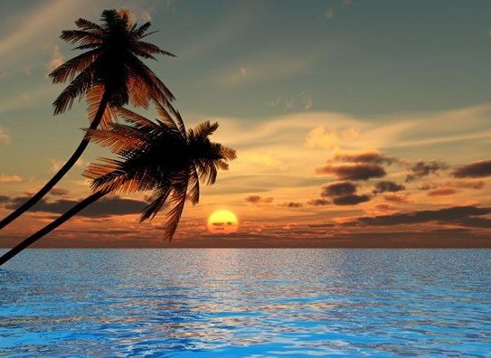 Experiencing God in Creation